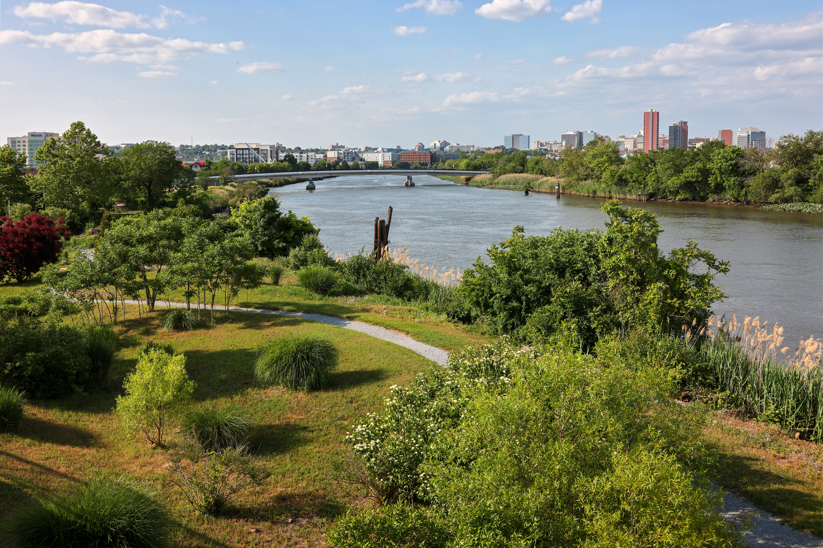 Delaware Park